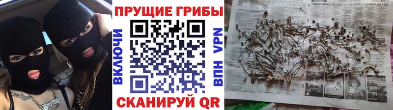 Псилоцибиновые грибы ЛСД Беслан