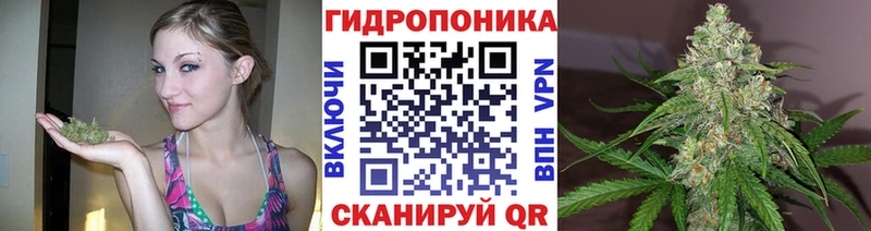 купить наркотики цена  Беслан  гидра как войти  Марихуана планчик 
